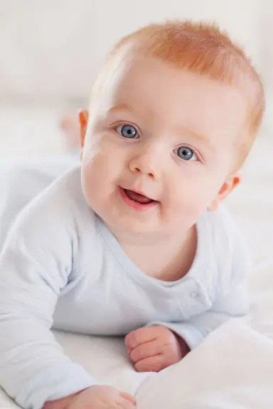 Showcase 5